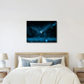 Tablou cu bufnița zburând (70x50 cm)