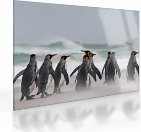 Tablou pe sticlă pinguini în ocean (70x50 cm)