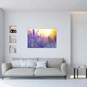 Tablou - Levănțică (90x60 cm)