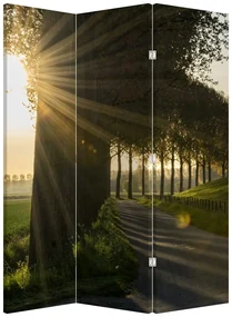 Paravan - Alee (126x170 cm)