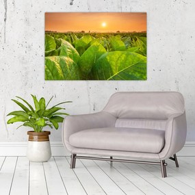 Tablou - Câmp (90x60 cm)