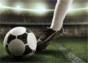 Tablou pe sticlă - Minge de fotbal (70x50 cm)