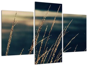 Tablou cu ierburi (90x60 cm)