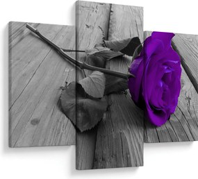 Tablou - Trandafir violet cu tulpina verde (90x60 cm)