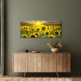 Tablou - Floarea-soarelui la apus de soare (120x50 cm)