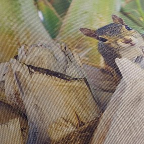 Tablou cu veverița în copaci (120x50 cm)
