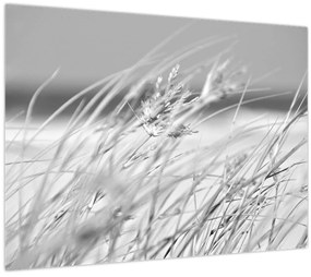 Tablou pe sticlă - Iarbă de plajă (70x50 cm)