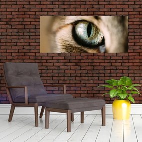 Tablou - Ochi de pisică (120x50 cm)