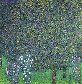 Reproducere Roses under the Trees, c.1905, Gustav Klimt
