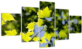Tablou - frunze de arțar (125x70 cm), în 40 de alte dimensiuni noi