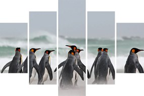 Tablou pinguini în ocean (150x105 cm)