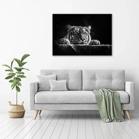 Imprimare tablou canvas Tigru