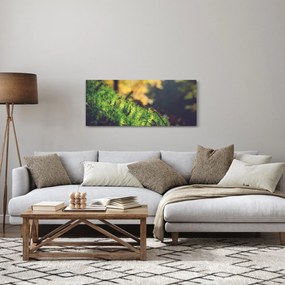 Tablou - Ciupercă și muschi (120x50 cm)