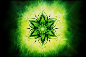 Tablou - Mandala de flori, fundal verde (90x60 cm)