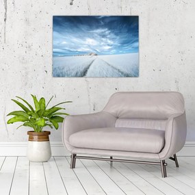 Tablou - Câmp (70x50 cm)