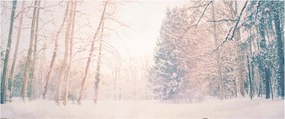 Tablou - Priveliște pădure (120x50 cm)