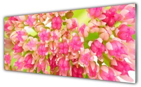 Tablouri acrilice Floare roz Floral