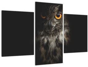 Tablou cu bufnița (90x60 cm)