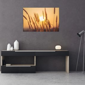 Tablou - Iarbă la soare (90x60 cm)