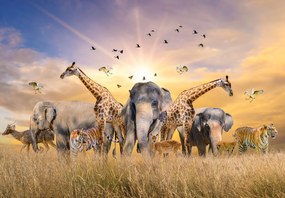 Fototapet - Safari (147x102 cm)