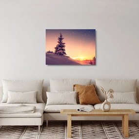 Tablou pe sticlă cu copac înzăpezit pe luncă (70x50 cm)