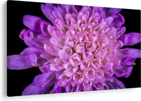 Tablou detailat cu floare (90x60 cm)