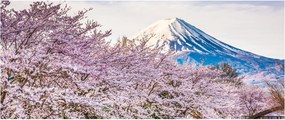 Tablou - Japonia în primăvară (120x50 cm)