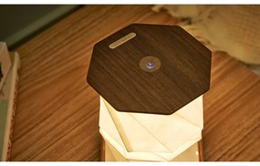 Decorațiune luminoasă maro cu USB ø 12 cm Twist Hexagon – Gingko