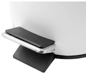 Coș de gunoi Aqualine SIMPLE LINE 20 l oțel inoxidabil lustruit