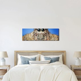 Tablou cu detalii a unui pâianjen (cu ceas) (90x30 cm)