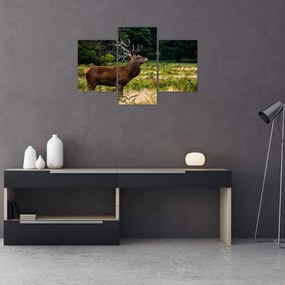 Tablou cu cerb (90x60 cm)