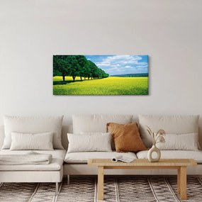 Tablou - Câmp cu alei (120x50 cm)