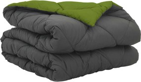 vidaXL Pilotă de vară Verde și Antracit 220 x 155 cm Microfibră