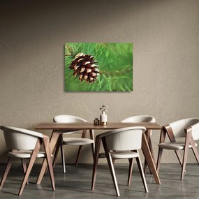 Tablou pe sticlă cu con (70x50 cm)