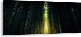 Tablou cu pădurea întunecată (120x50 cm)