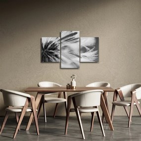 Tablou - Macro,alb-negru (90x60 cm)