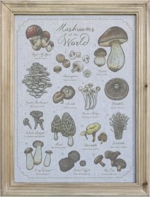 Tablou decorativ pe pânză cu motiv ciuperci și ramă din lemn masiv natur, 43x33x2 cm, „Forêt"