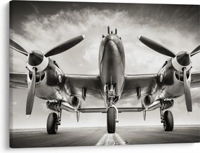 Tablou - Warbird (70x50 cm)