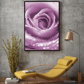 Poster - Trandafir (A4)