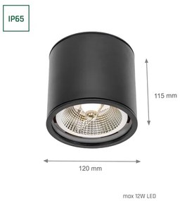 Spot pentru baie CHLOE AR111 1xGU10/12W/230V IP65 negru rotund