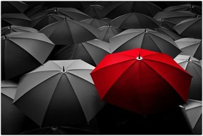 Tablou cu umbrele deschise (90x60 cm)