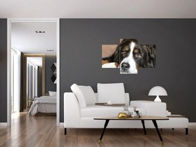 Tablou cu câine (90x60 cm)