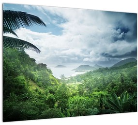 Tablou -Jungla din Seychelles (70x50 cm)