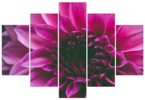 Tablou cu floarea roz (150x105 cm)