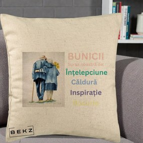 Cadou pentru Bunici - Perna Personalizata Bunicii Sursa Intelepciune Caldura Acuarela, 40x40 cm, Bej, Husa Detasabila, Perna Inclusa, BEKZ®
