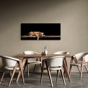 Tablou - Lioness (120x50 cm)