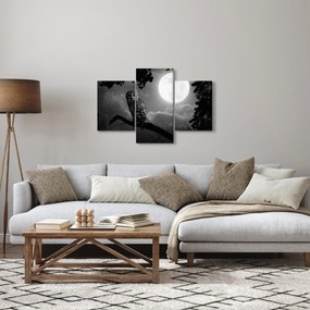 Tablou - Bufniță de noapte, alb și negru (90x60 cm)