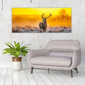 Tablou - Cerb la răsăritul soarelui (120x50 cm)