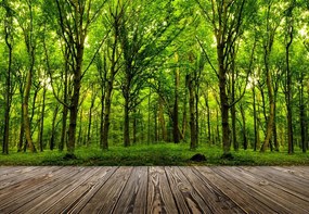 Fototapet - Pădure Verde Crud