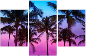 Tablou - Palmieri din Miami (90x60 cm)